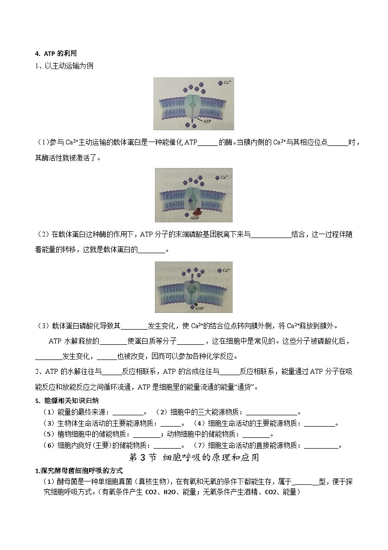 人教版（2019）高中生物必修一 第5章《細胞的能量供應(yīng)和利用》單元知識清單（填空版）第3頁