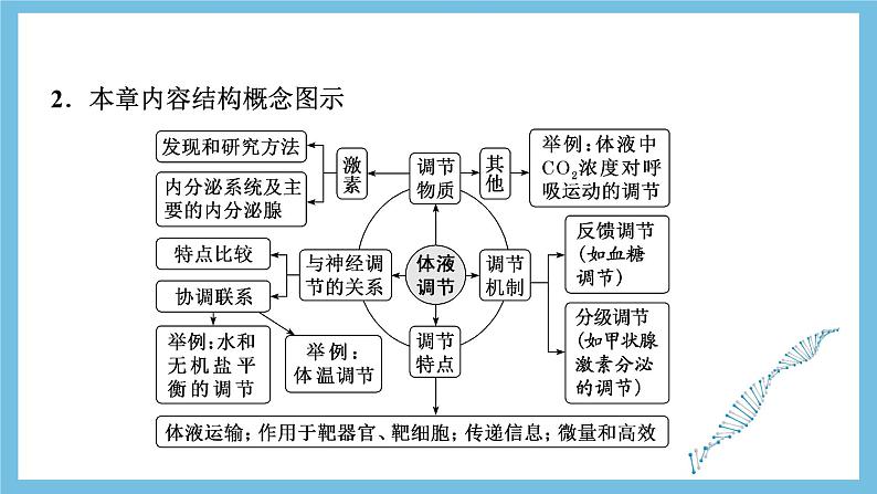 人教版高二生物选择性必修一 第3章 《体液调节》复习课件第4页