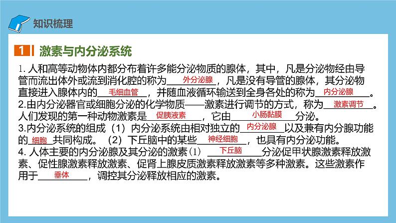 人教版高二生物选择性必修一 第3章 《体液调节》复习课件第6页
