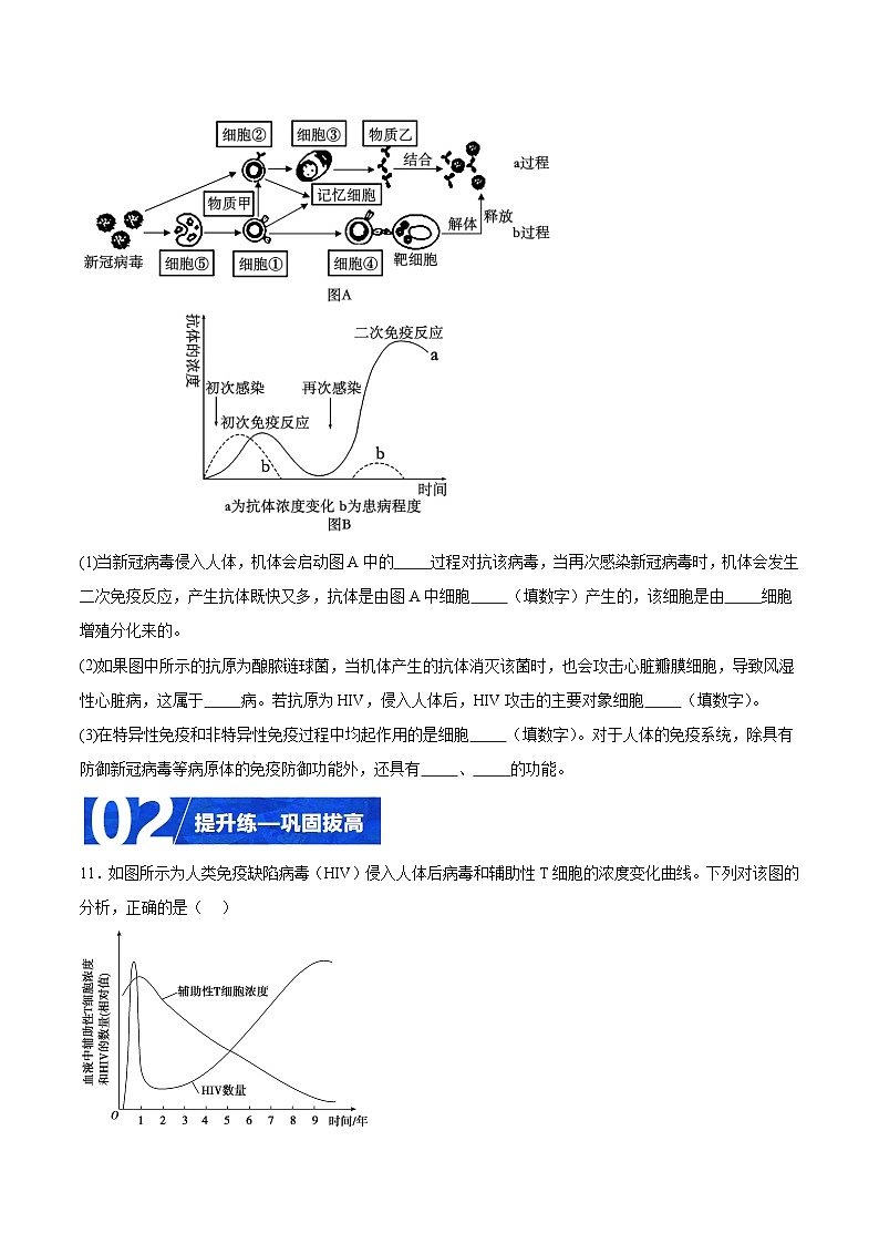 人教版高二生物选择性必修一 4.3 《免疫失调》分层练习(原卷版)第3页