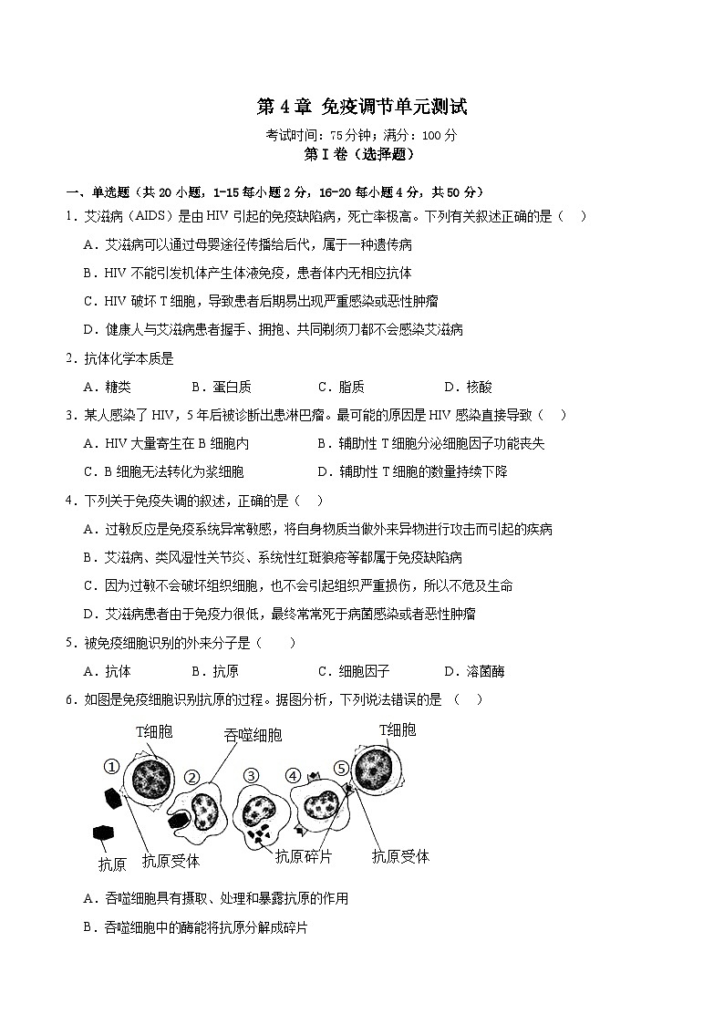 人教版高二生物选择性必修一 第4章 《免疫调节》分层练习(原卷版)第1页