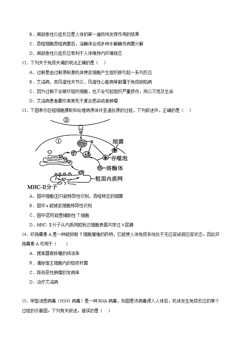 人教版高二生物选择性必修一 第4章 《免疫调节》分层练习(原卷版)第3页