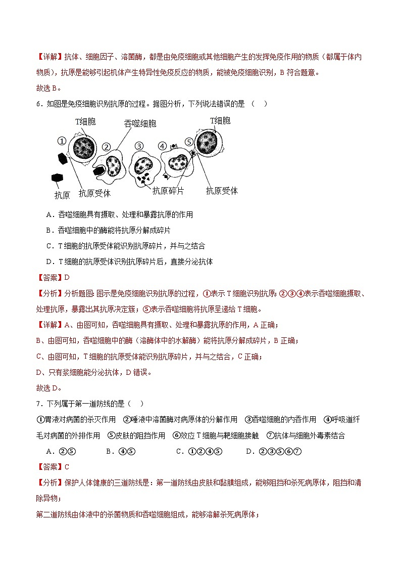 人教版高二生物选择性必修一 第4章 《免疫调节》分层练习(解析版)第3页