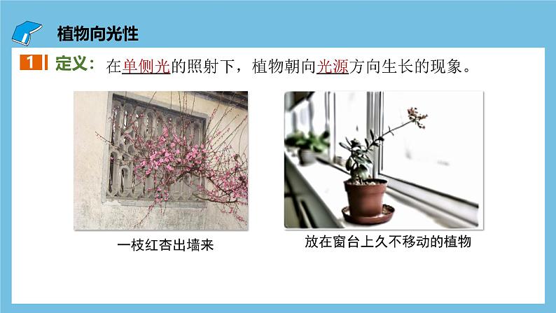 人教版高二生物选择性必修一 5.1.1 《生长素的发现过程》课件第5页