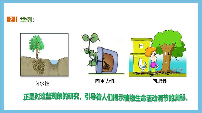 人教版高二生物选择性必修一 5.1.1 《生长素的发现过程》课件第6页