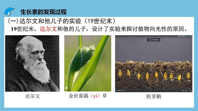 人教版高二生物选择性必修一 5.1.1 《生长素的发现过程》课件第7页