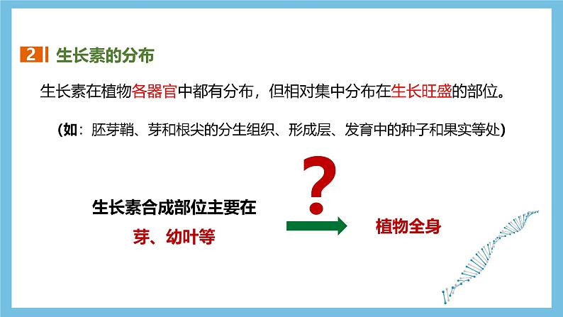 人教版高二生物选择性必修一 5.1.2 《生长素的合成、运输与分布和生长素的生理作用》课件第5页