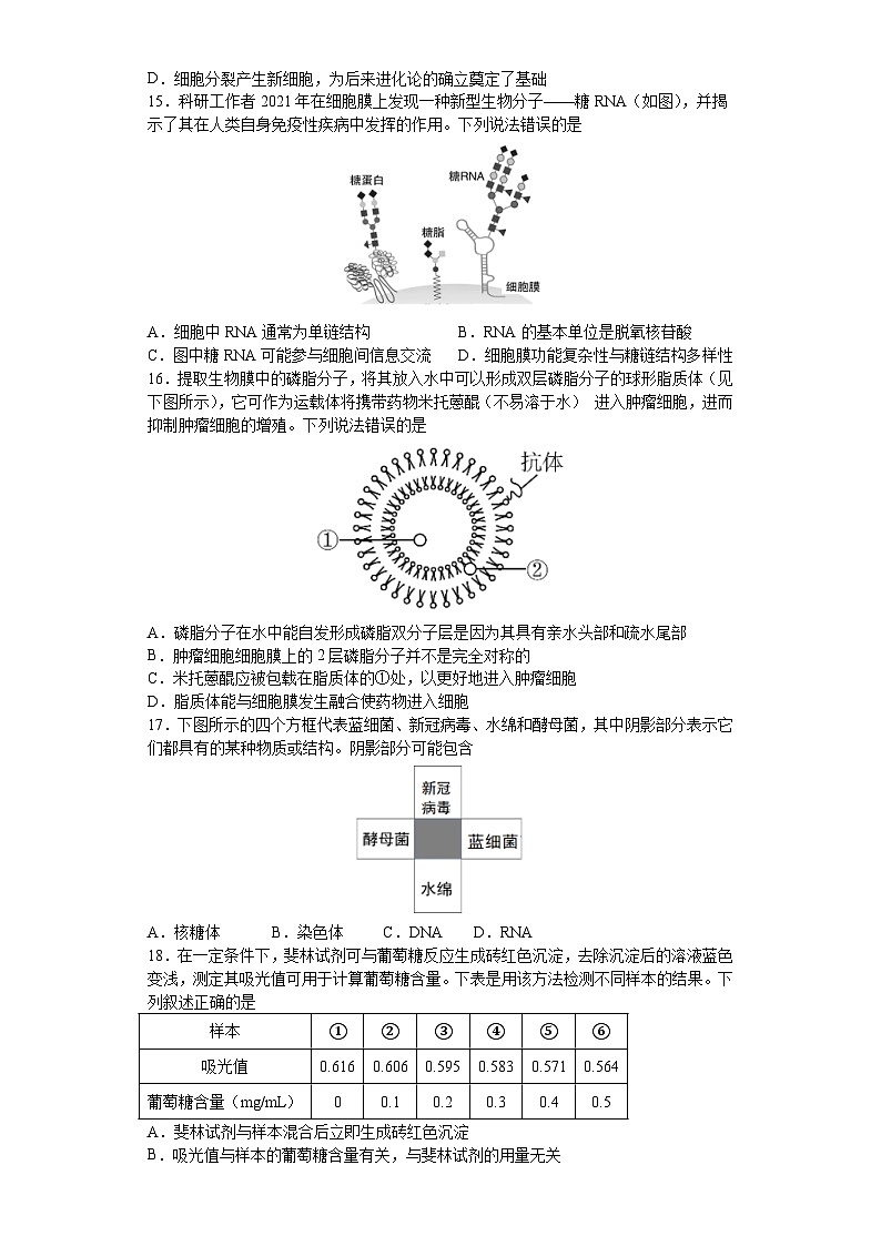 湖北省荆州中学2023-2024学年高一上学期10月月考生物试题(含答案)03