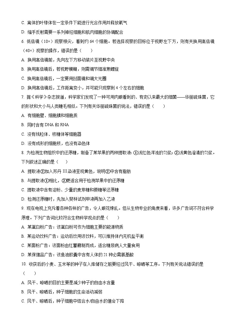 四川省成都外国语学校2023-2024学年高一上学期期中考试 生物第2页