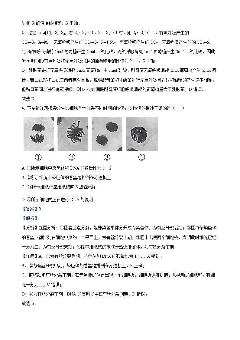 广东省揭阳市部分学校2023-2024学年高一下学期期中考试生物试卷(原卷版+解析版)03