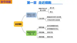 人教版（2019）高中生物必修一1.1 《细胞是生命活动的基本单位 》课件