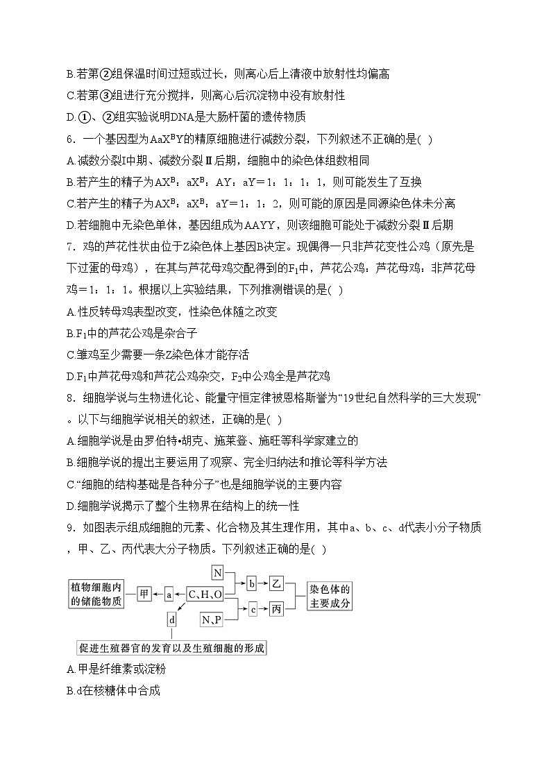 广东省三校2025届高三上学期第一次联合模拟生物试卷(含答案)02