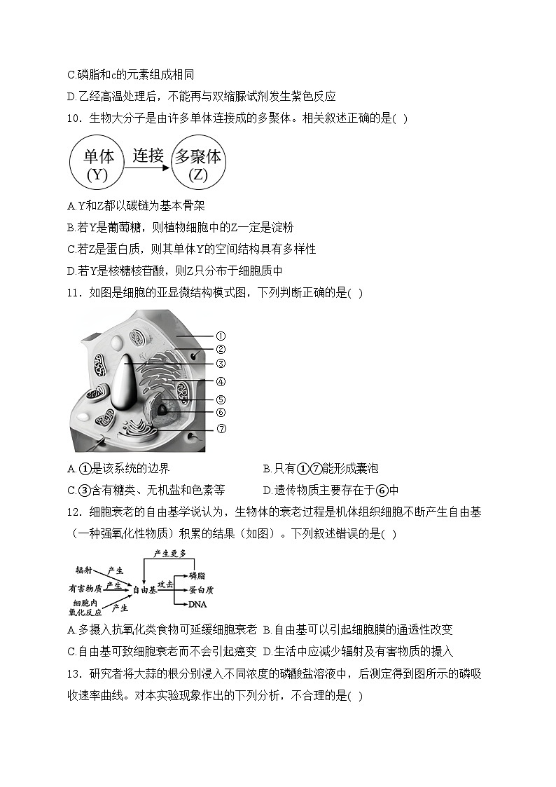 广东省三校2025届高三上学期第一次联合模拟生物试卷(含答案)03