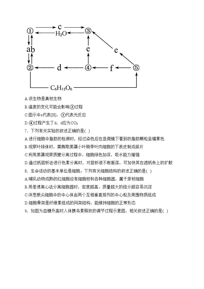 江苏省南京市金陵中学2023-2024学年高二下学期期末考试生物试卷(含答案)03