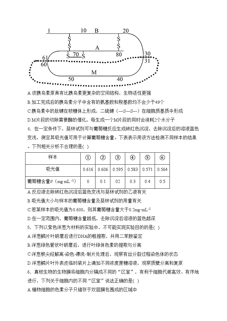 四川省遂寧中學校2025屆高三上學期8月月考生物試卷(含答案)第2頁