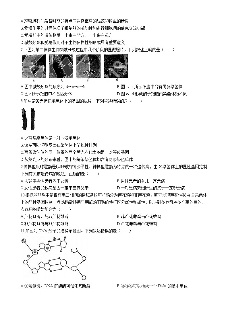 黑龙江省哈尔滨市实验中学2023-2024学年高二上学期开学考试生物试题第2页