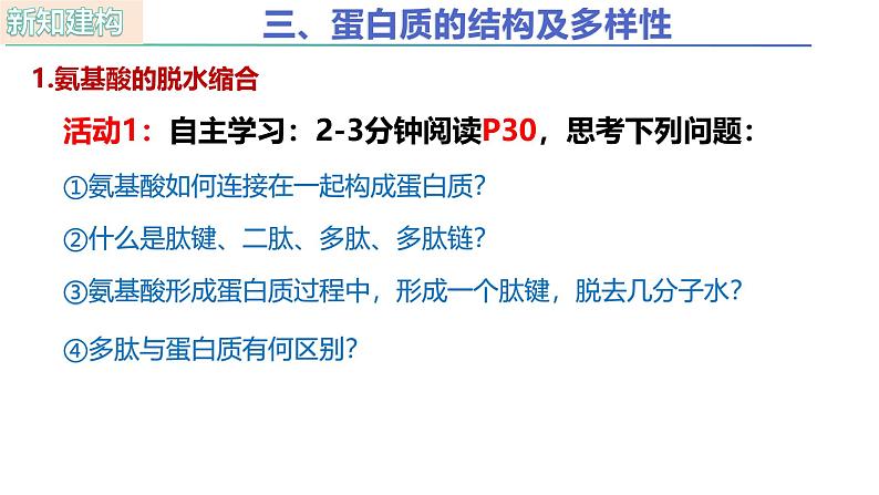 人教版(2019)高中生物必修一2.4《蛋白质是生命活动的主要承担者》(第2课时)课件04