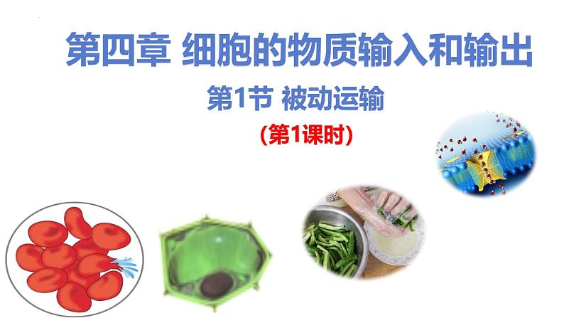 人教版(2019)高中生物必修一4.1 《被动运输》(第1课时)课件01