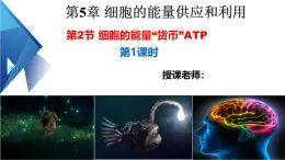 人教版（2019）高中生物必修一5.2《细胞的能量“货币”ATP》（第1课时）课件