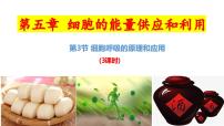 高中生物人教版 (2019)必修1《分子与细胞》第5章 细胞的能量供应和利用第3节 细胞呼吸的原理和应用精品课件ppt
