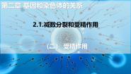 人教版 (2019)必修2《遗传与进化》第2章 基因和染色体的关系第1节 减数分裂和受精作用二 受精作用完整版课件ppt