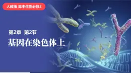 人教版（2019）高中生物必修二2.2《基因在染色体上》（2课时）课件