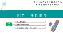 人教版（2019）高中生物必修二2.3《伴性遗传》（1课时）课件