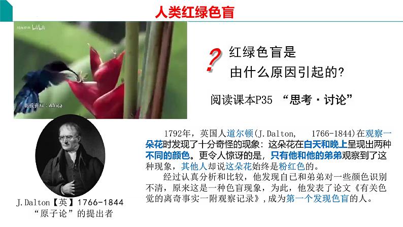 人教版(2019)高中生物必修二2.3《伴性遗传》(1课时)课件第5页