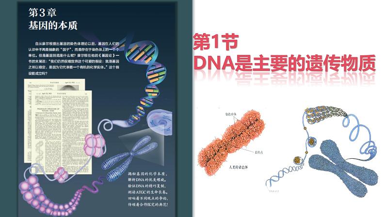 人教版(2019)高中生物必修二3.1《DNA是主要的遗传物质》(2课时)课件01