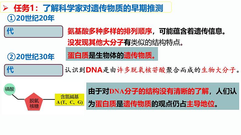 人教版(2019)高中生物必修二3.1《DNA是主要的遗传物质》(2课时)课件04