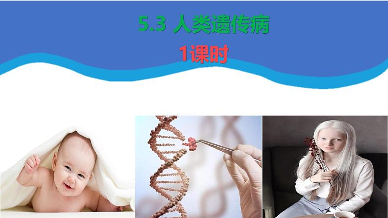 人教版(2019)高中生物必修二5.3《人类遗传病》(1课时)课件第1页