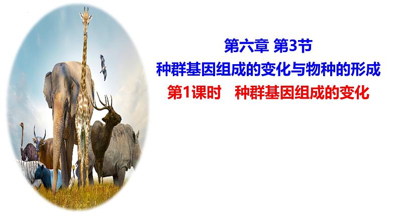 人教版(2019)高中生物必修二6.3《种群基因组成的变化与物种的形成》(一)(第1课时)课件01