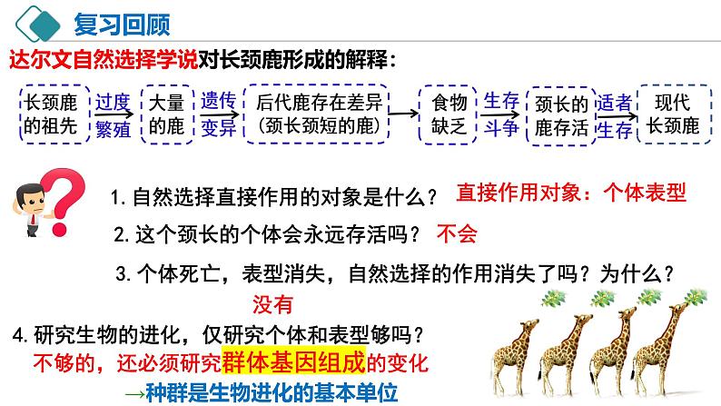 人教版(2019)高中生物必修二6.3《种群基因组成的变化与物种的形成》(一)(第1课时)课件02