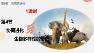 生物必修2《遗传与进化》第6章 生物的进化第4节 协同进化与生物多样性的形成获奖课件ppt