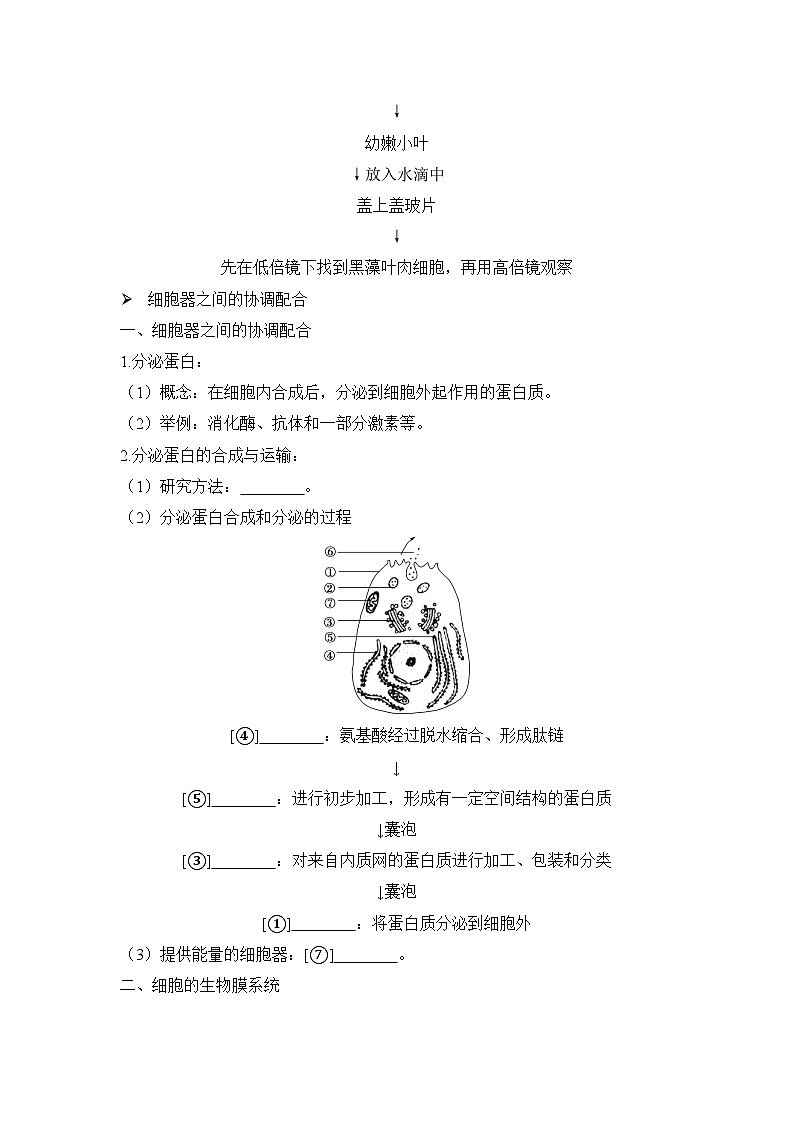 3.2细胞器之间的分工合作学案 高中生物人教版必修1第3页