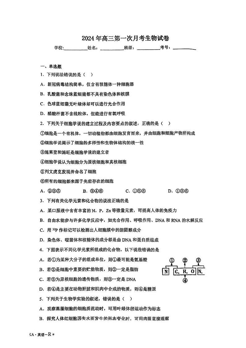 江西省宜春市丰城市第二中学2024-2025学年高三上学期8月第一次月考生物试题第1页