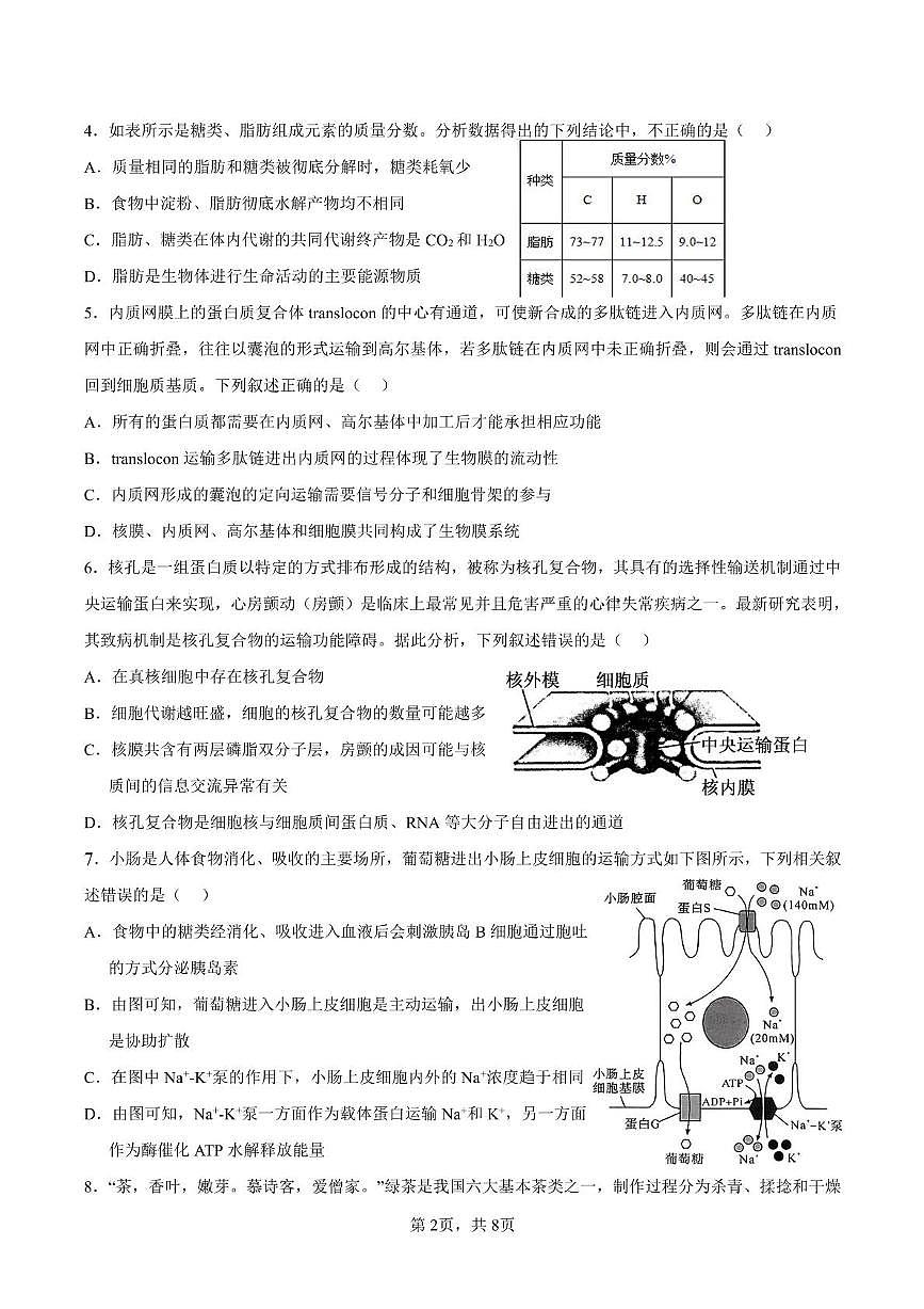 甘肅省隴西縣第一中學2023-2024學年高一下學期第四次月考生物試卷第2頁