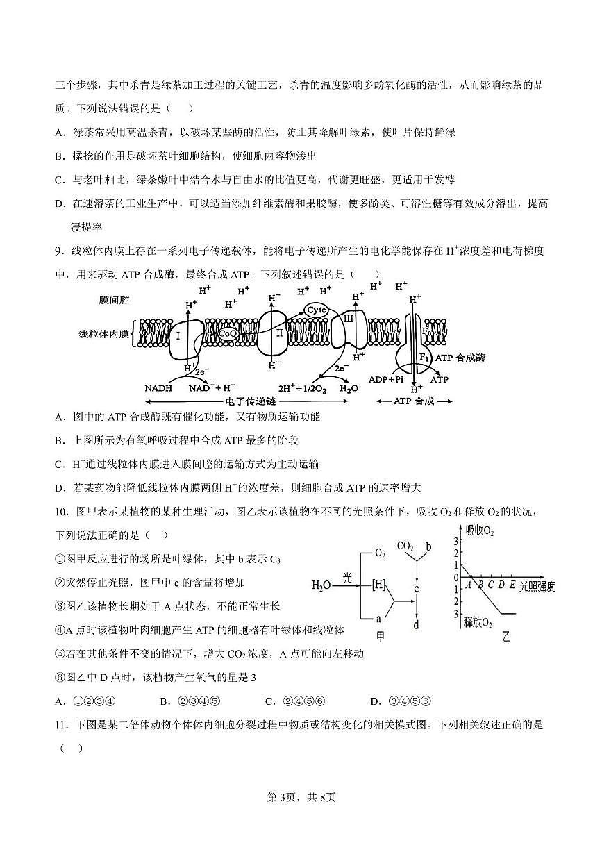 甘肅省隴西縣第一中學2023-2024學年高一下學期第四次月考生物試卷第3頁