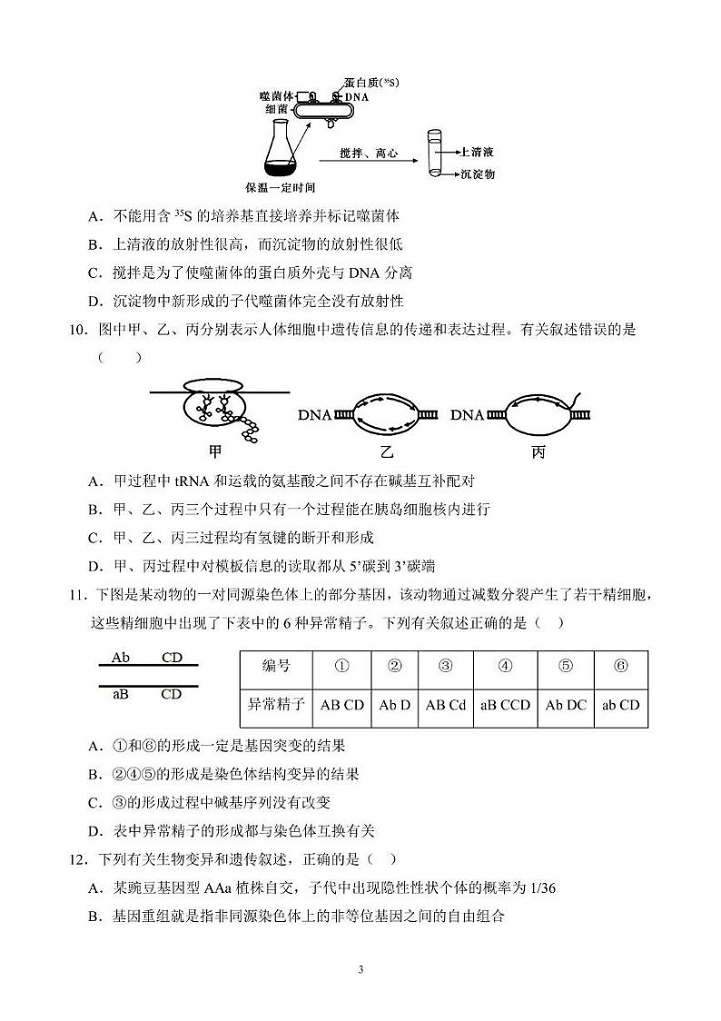 河北省保定市高碑店市崇德实验中学2023-2024学年高一下学期期末考试生物试题 高一期末考试生物试卷第3页