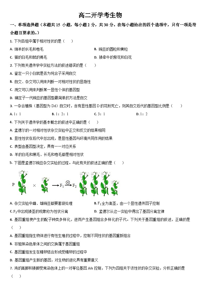 吉林省通化市梅河口市第五中学2024-2025学年高二上学期开学考试生物试卷(Word版附答案)第1页