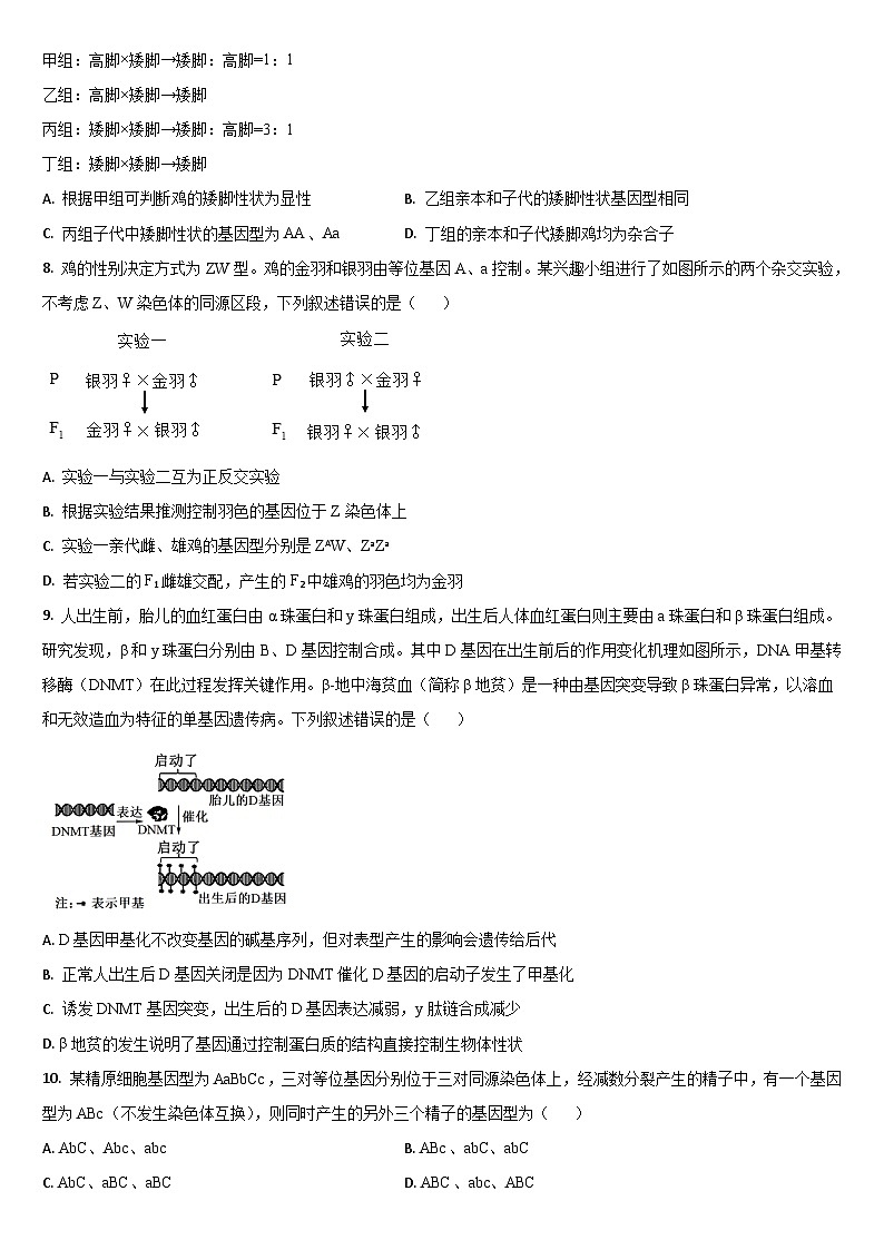 吉林省通化市梅河口市第五中学2024-2025学年高二上学期开学考试生物试卷(Word版附答案)第2页