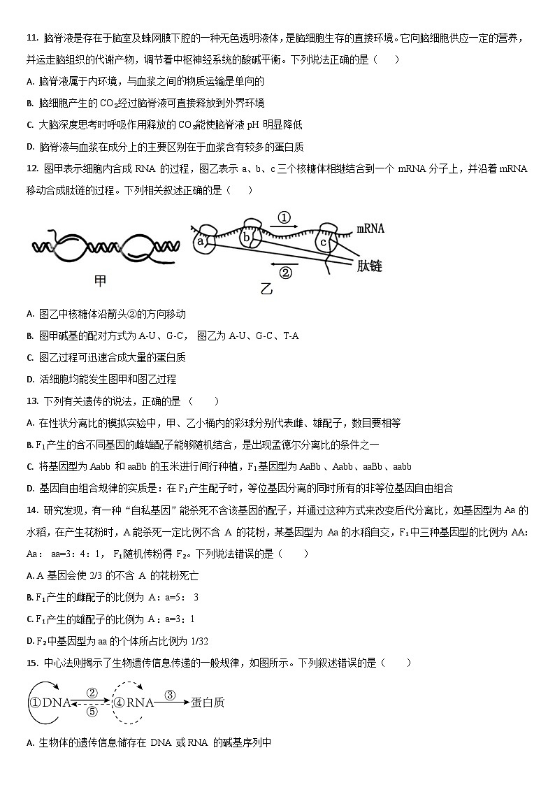 吉林省通化市梅河口市第五中学2024-2025学年高二上学期开学考试生物试卷(Word版附答案)第3页