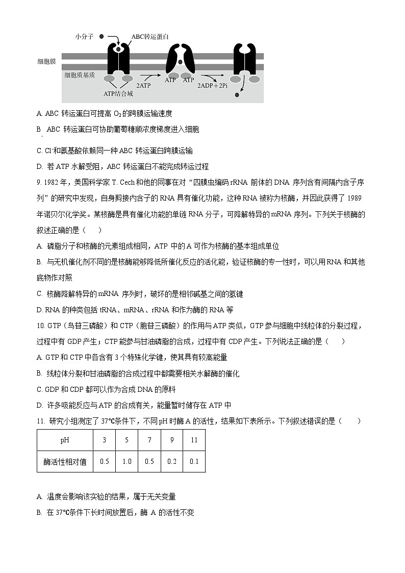 江西省宜春市丰城市第二中学2024-2025学年高三上学期8月第一次月考生物试题(原卷版)第3页