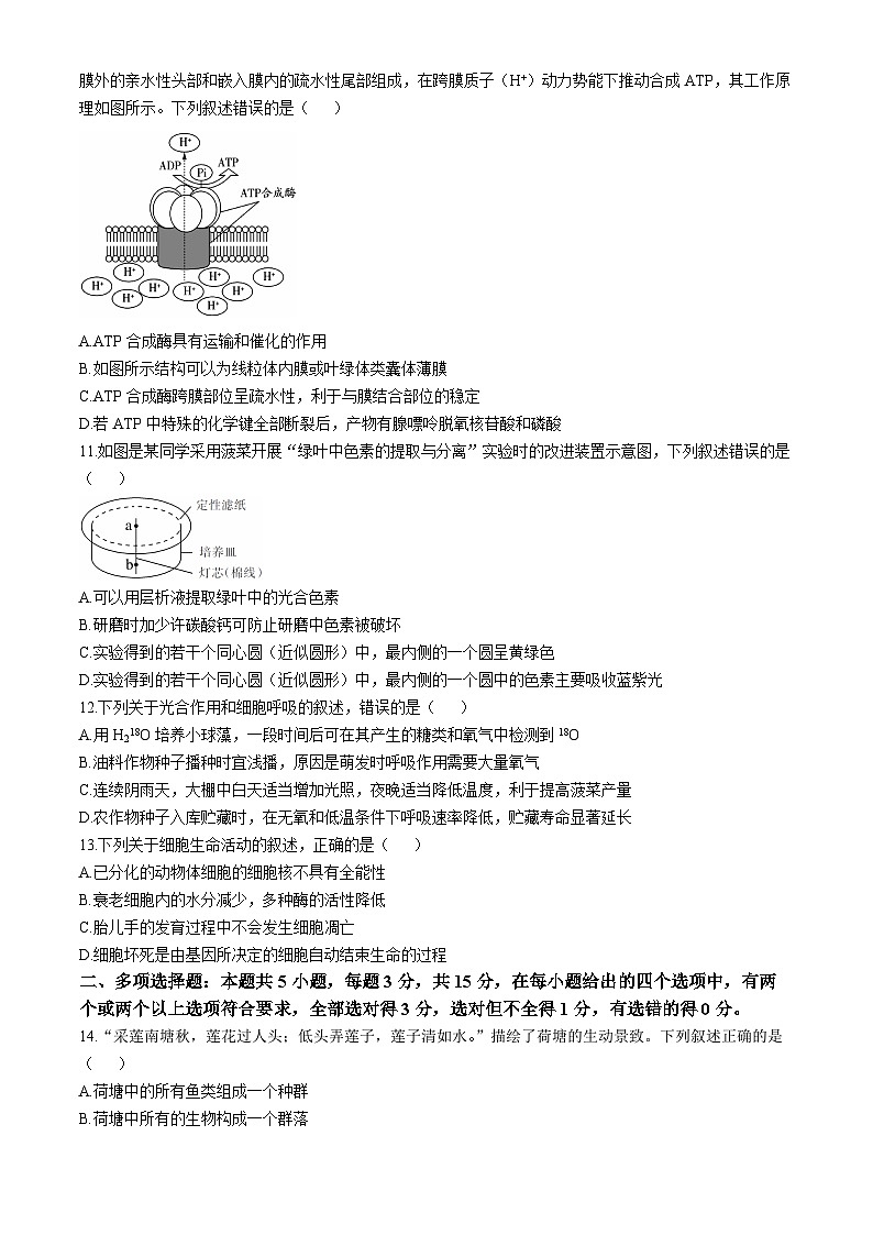 河北省石家庄市2022-2023学年高一上学期期末试题生物试题(无答案)第3页