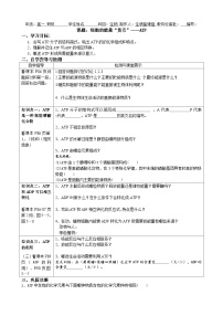 高中生物人教版 (2019)必修1《分子与细胞》第2节 细胞的能量“货币”ATP学案设计