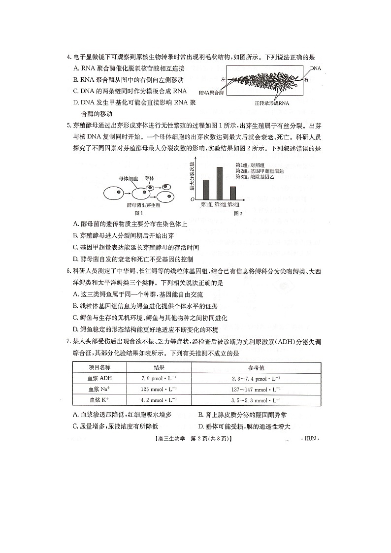 湖南省湖南省部分学校2024-2025学年高三上学期8月月考生物试题02