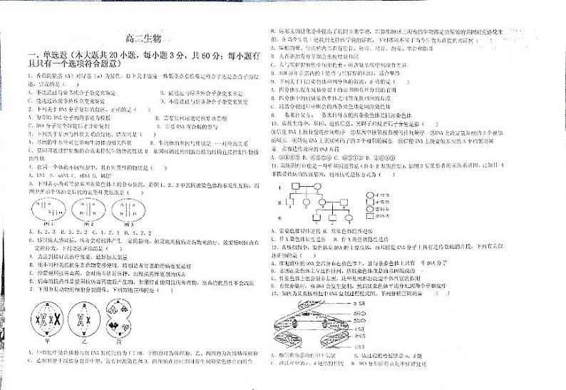 河南省长葛市第三实验高级中学2024-2025学年高二上学期开学摸底考试生物试题第1页