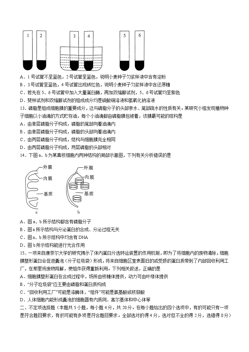 湖南省长沙市长郡中学2022-2023学年高一上学期期中考试生物试题(含答案)第3页