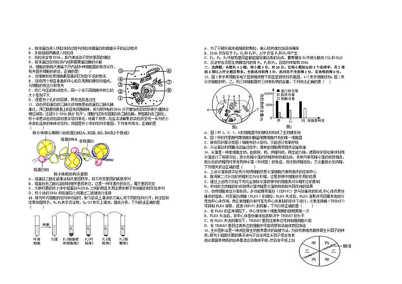 江西省宜春市上高县2024-2025学年高三上学期8月月考生物试题第2页