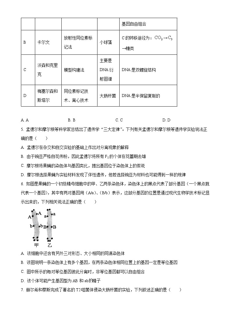 黑龙江省佳木斯市桦南一中2023-2024学年高一下学期期末生物试题(原卷版)02